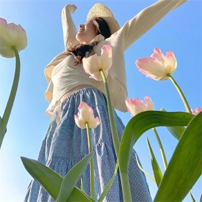 捕星司·源起